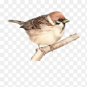 ��ȸվ����֦��-������