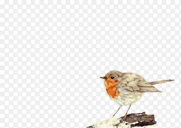 �ֻ���ȸ-������