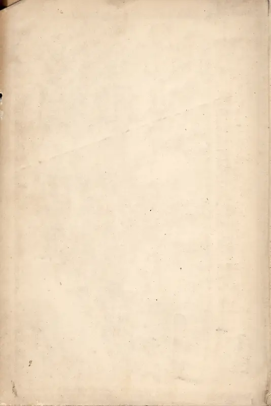 ����ţƤֽ���������Ӱ-������