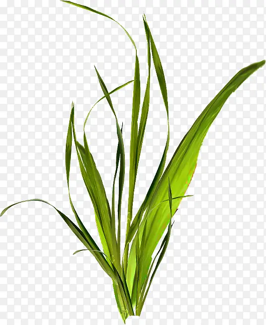 ������png�ز�-������