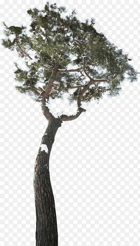 ������Ӱ�ϳ���ľЧ��-������