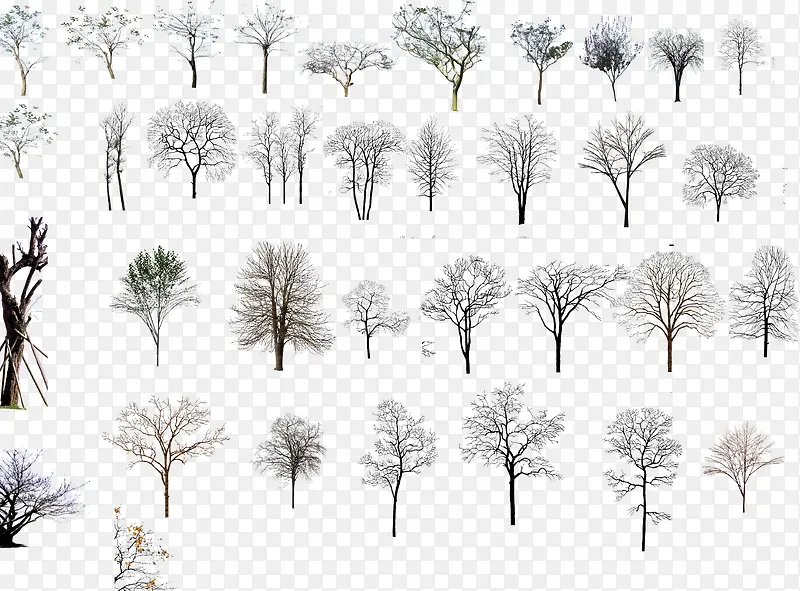 ������Ӱ����ϳ���ľPNG-������