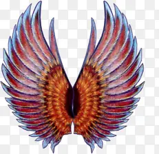 ��ɫ���ͼ��-������