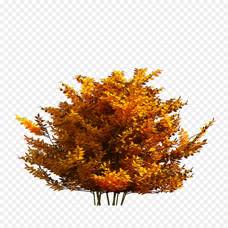 ��-������