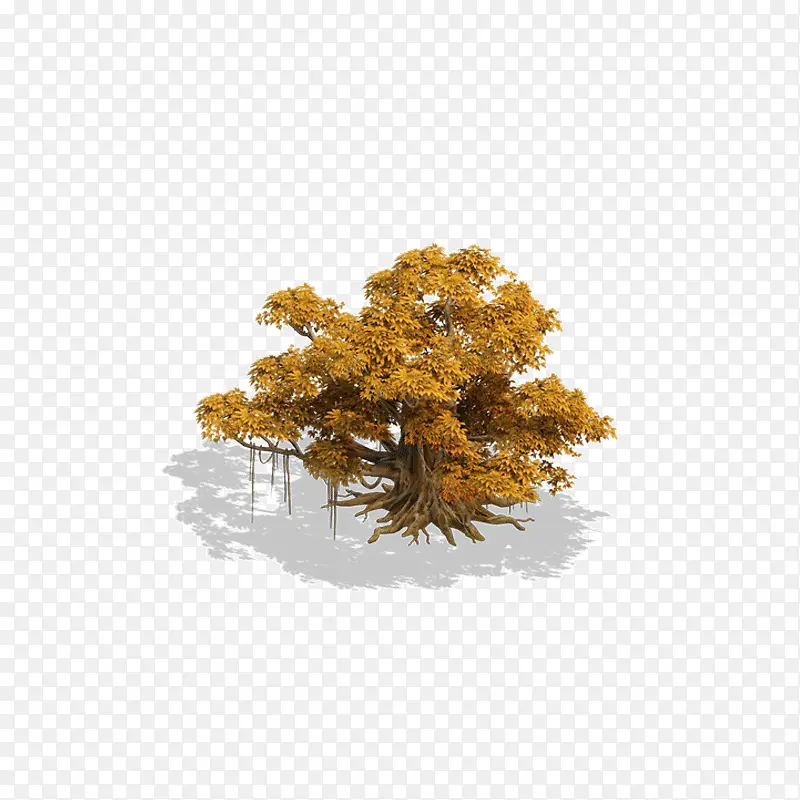 ֲ��ֲ�� �� ��ɫ-������