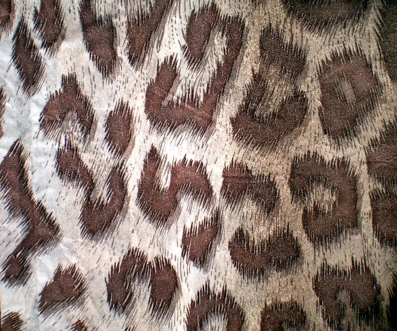 �������ϱ���-������