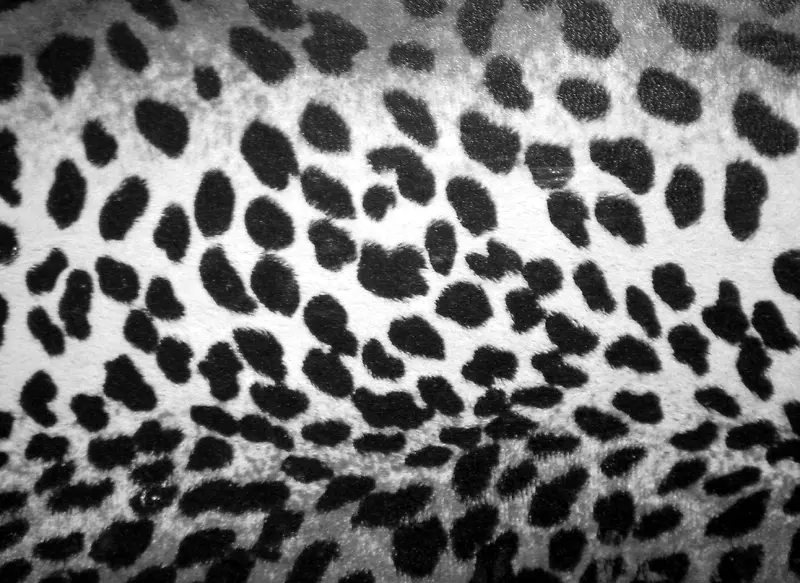 ���Ʋ��ϱ���-������