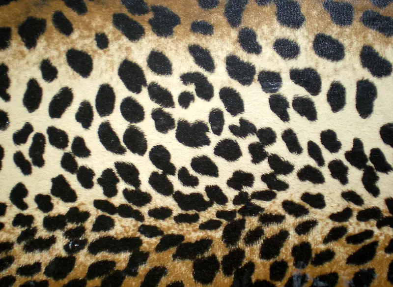 �������ϱ���-������