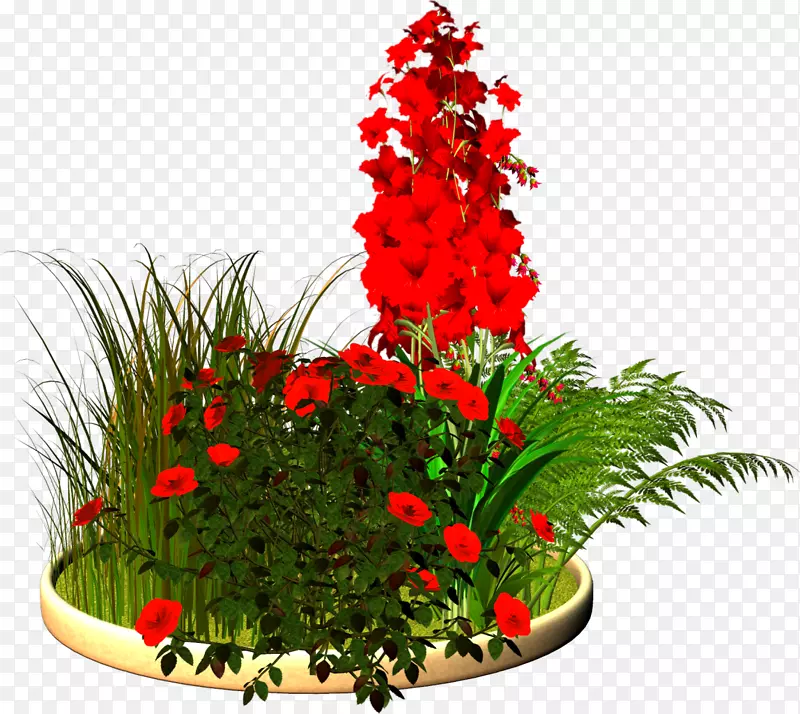 ������԰õ�������-������