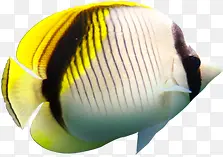 �ȴ���֮�ļ���������-������