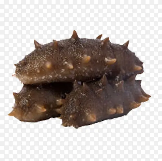 ����ʳ��-������