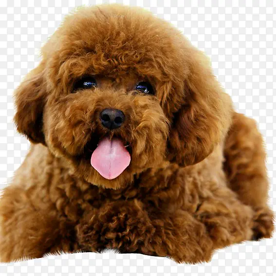 �ɰ�̩��-������