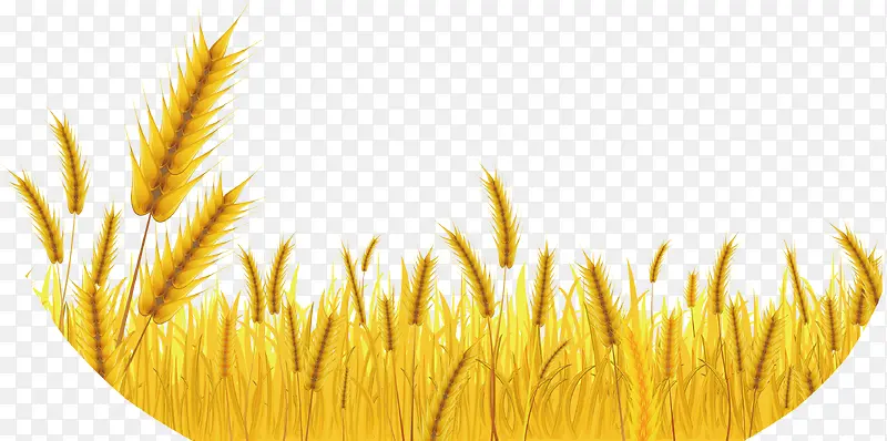 �ֻ浾��װ��ʸ���ز�-������