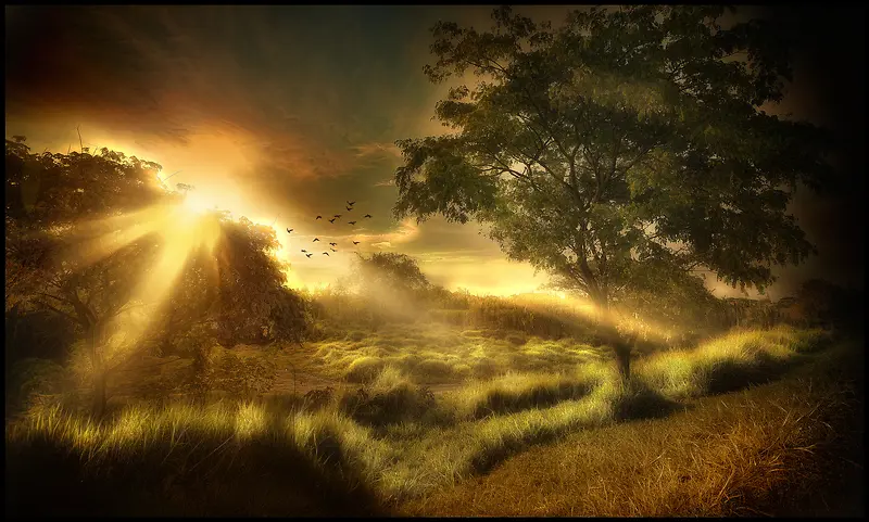 Ϧ����֦��ɽΨ��-������