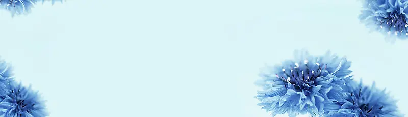 ʥ����ף��ģ�屳��-������