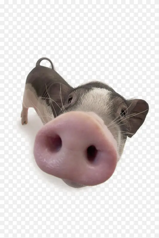 С������-������