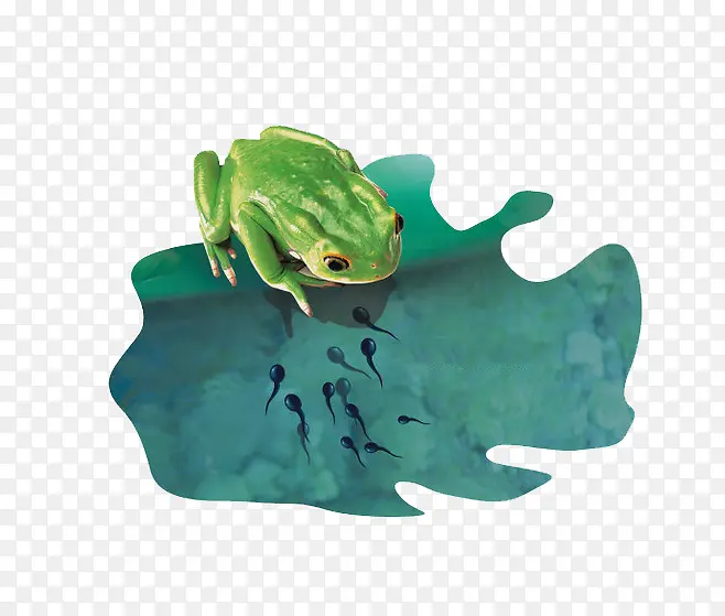 ���ܺ����-������