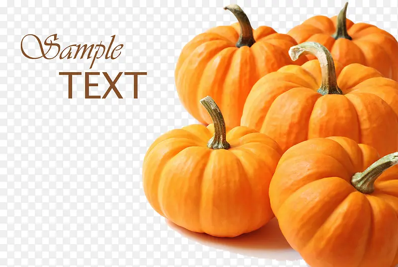 �Ϲ��߲�-������