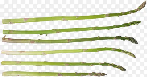 ����-������