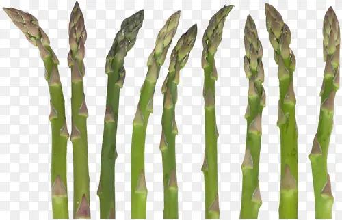 ��-������