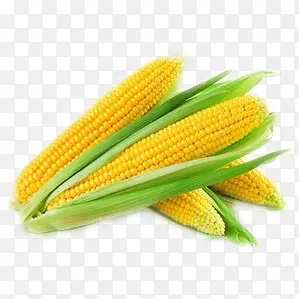 ����-������