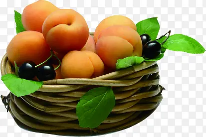 �����߲�ˮ������-������