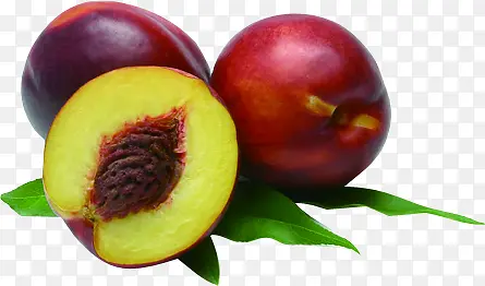 ���������߲�ˮ��-������