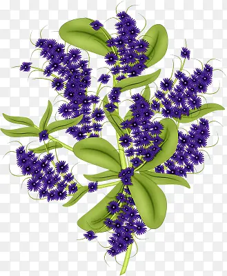 ޹�²ݻ���-������