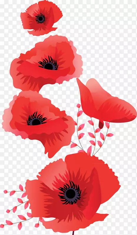 �������η�װ����ʱ��-ĵ��-������