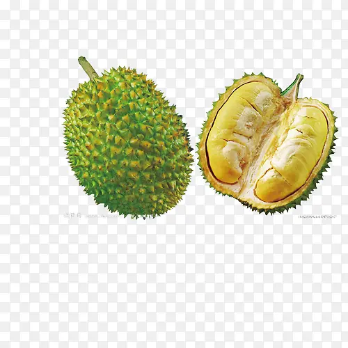 ����-������