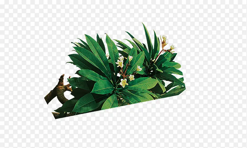 ��a-������