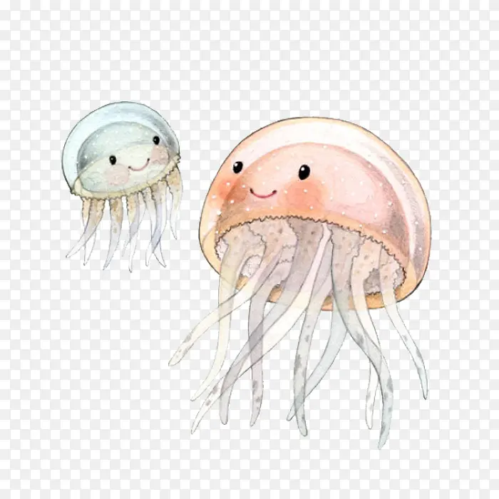 �ֻ�ˮĸ-������