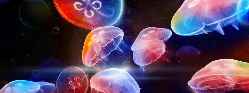 ˮĸ����-������