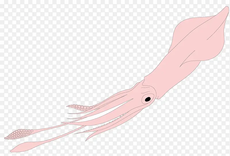 ʸ�������ز�-������