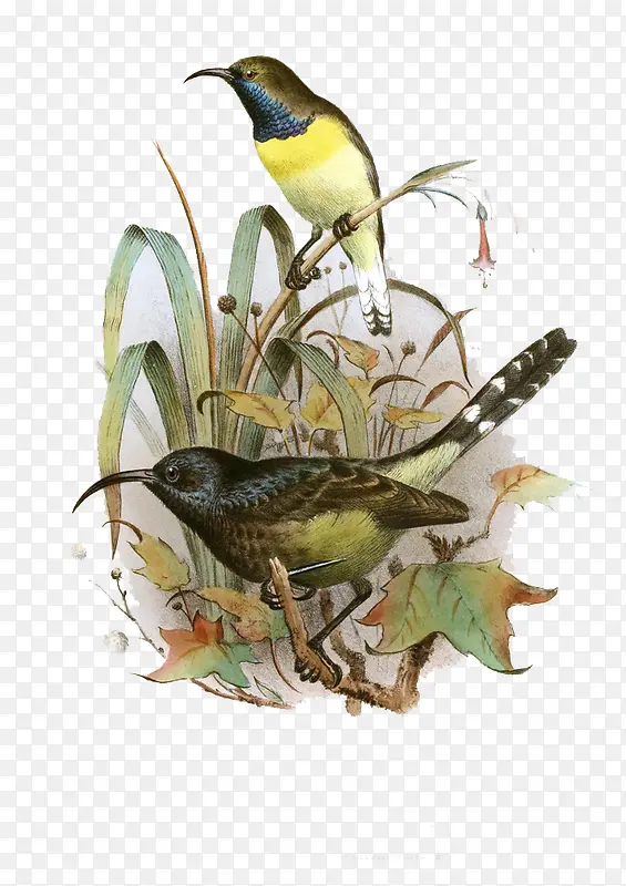 �ֻ�ˮ�ʻ���-������