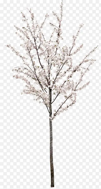 ��ɫ��-������