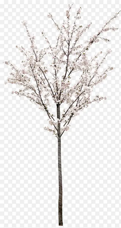 ��ɫ����-������