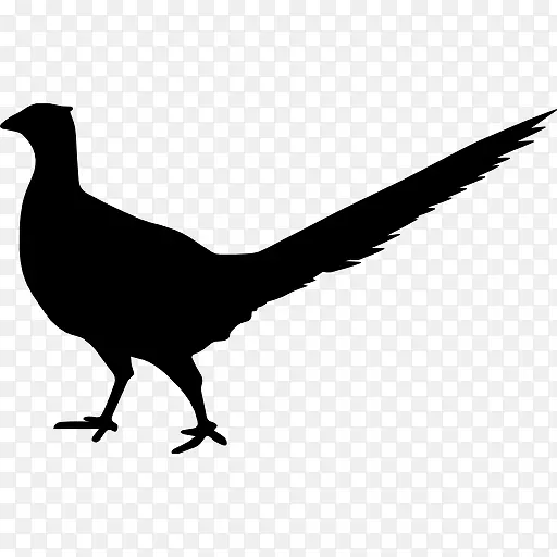 ��ũ������״ͼ��-������