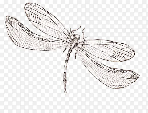 ����-������