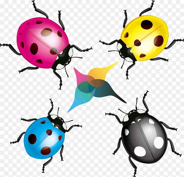 �ɰ�ư��-������