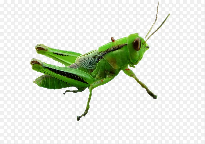 ������-������