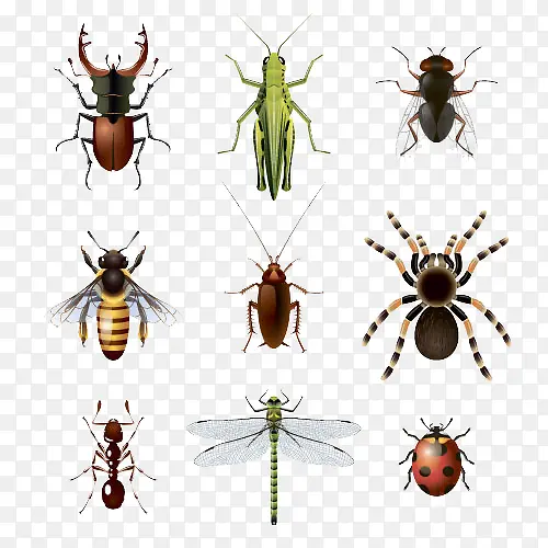 ʸ������-������