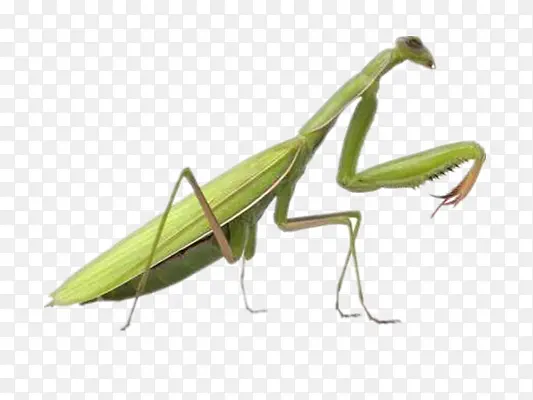 ���-������