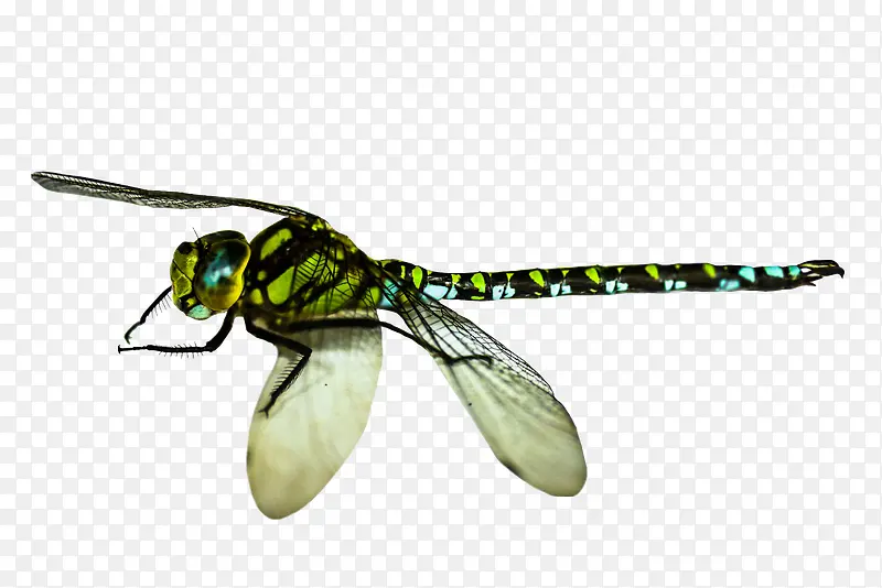 ����-������