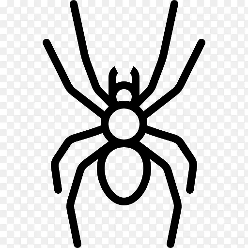 ��֩��ͼ��-������