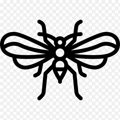 Psocoptera ͼ��-������