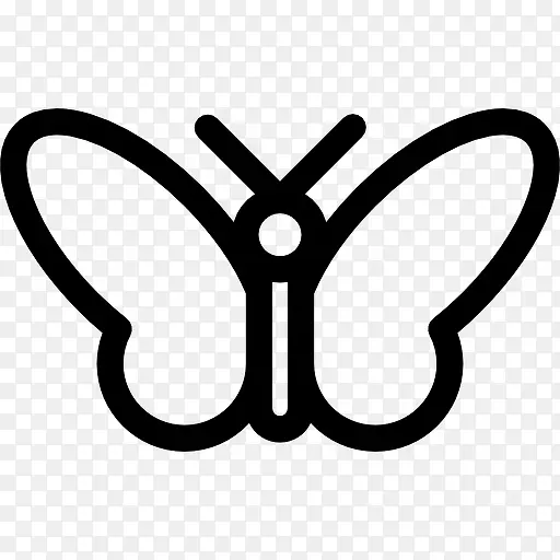 Buttterfly ͼ��-������