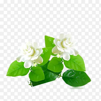 һ֧��ɫ����-������