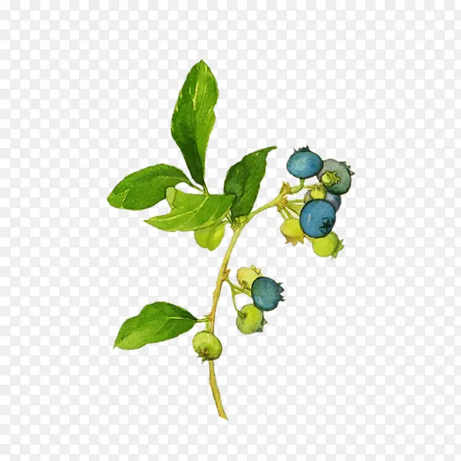 �ֻ���ɫˮ��ˮ��-������