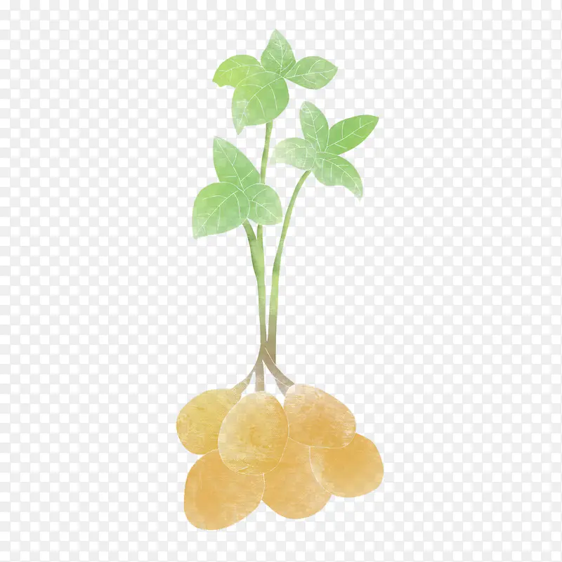 �ֻ�عϾ���ʳ��Ԫ��-������